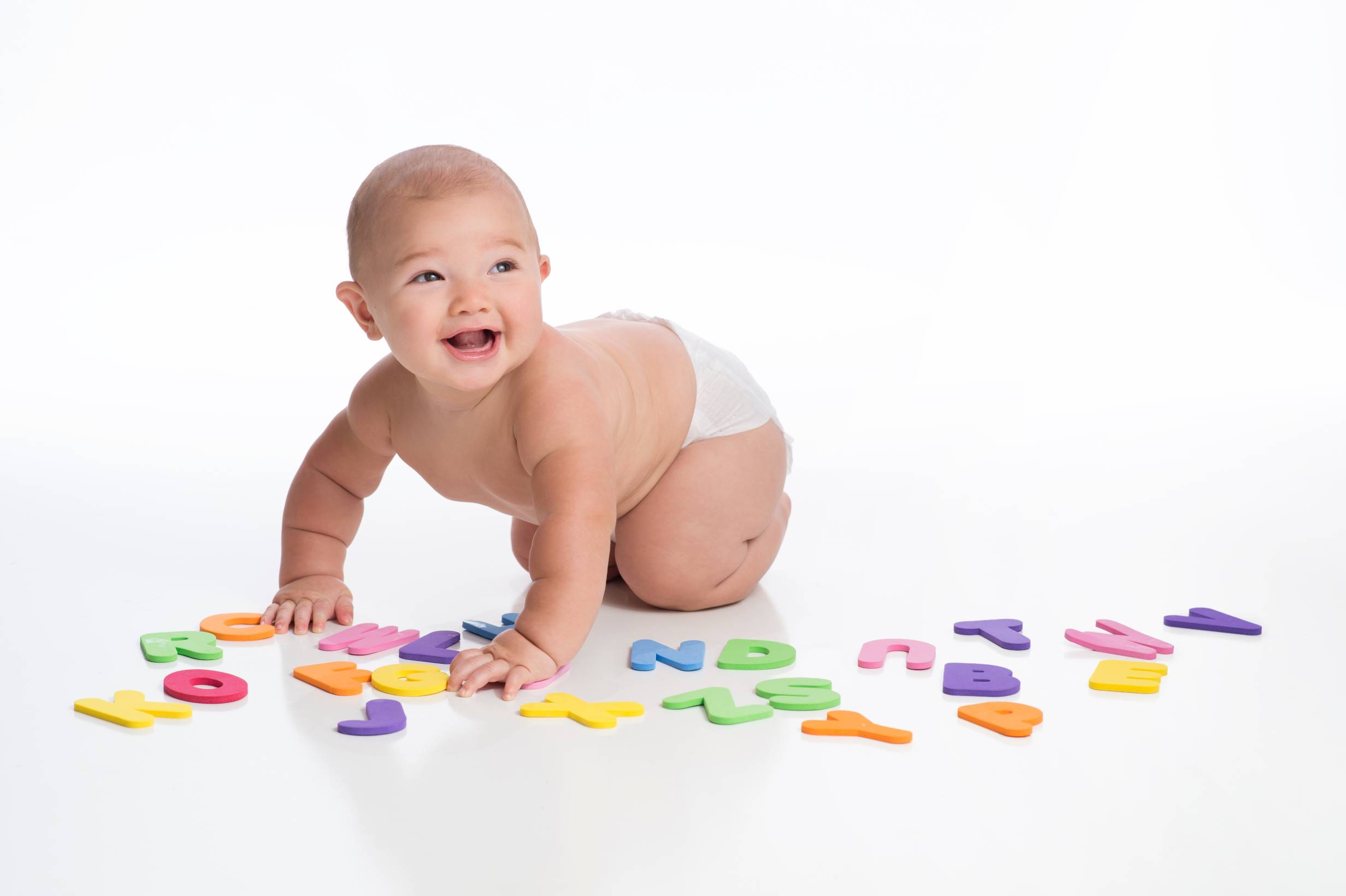 Creche Premium